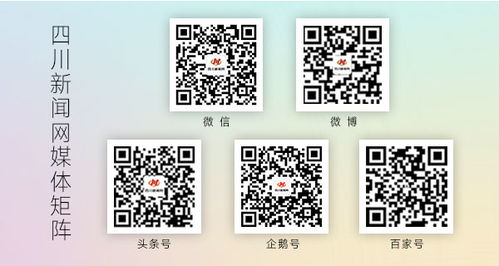 四川發布校外培訓機構廣告規范提示，數字內容制作服務需注意這些“紅線”